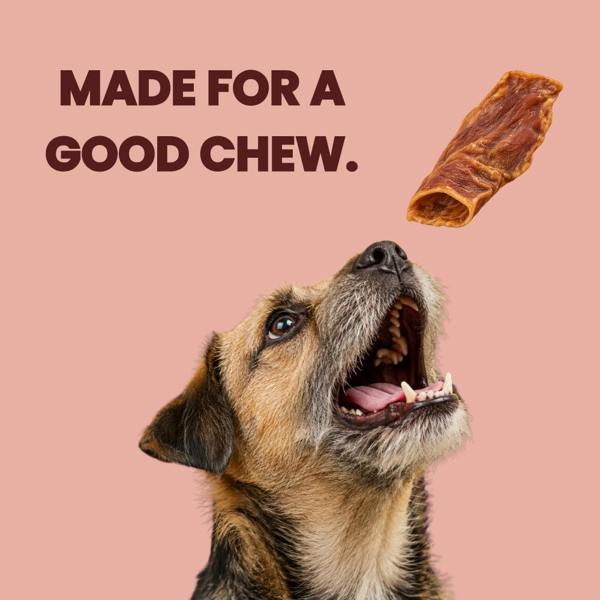 Favour Beef Ears 2 Pack Dog Treats