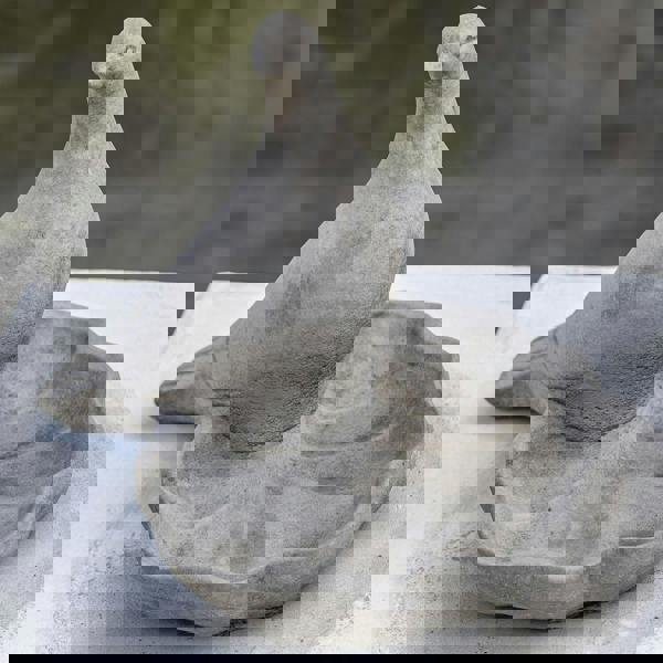 Floor level Birdbath with Perching Pigeon / Bird feeder