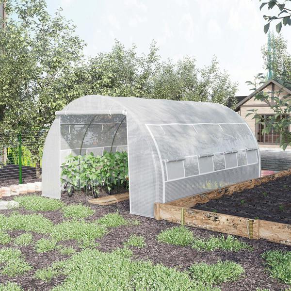 Tunnel Green House