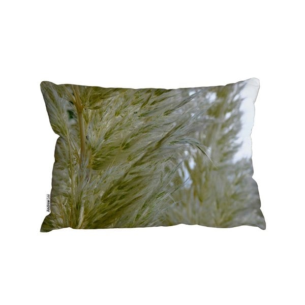 Benjamin Tate Design Autumn Pampas Grass Close Up (Outdoor Cushion)