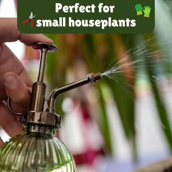 Houseplant Survival Gift Set - lifestyle shot