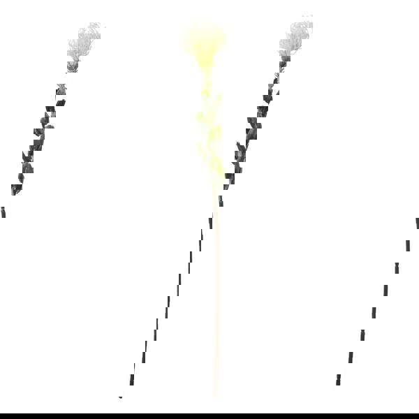 Hill Interiors Pincushion Protea Spray Artificial Flower - Cream - 