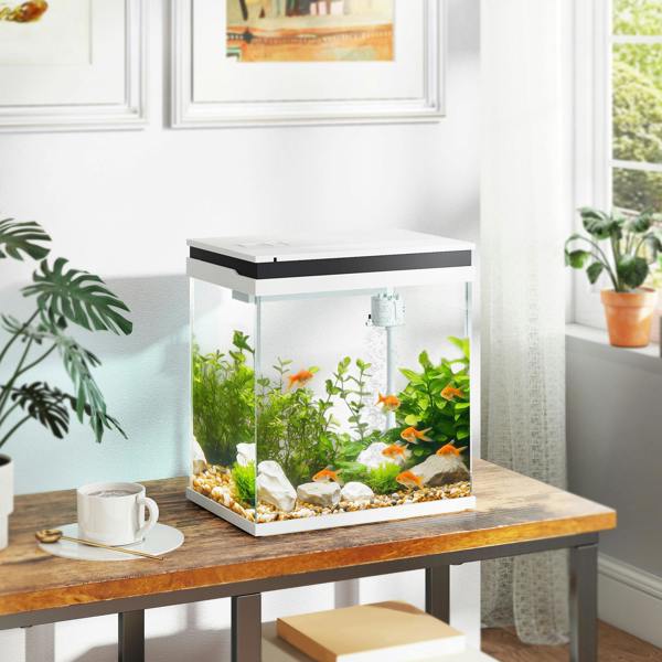 Aquarium
