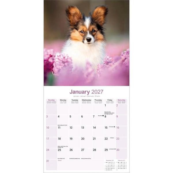 Papillon Calendar 2027, Wall Calendars, Month To View, Dogs, Gift