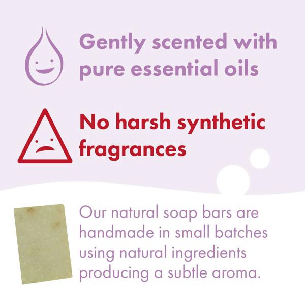 Friendly Soap 3 Pack - Natural Soap - Lavender
