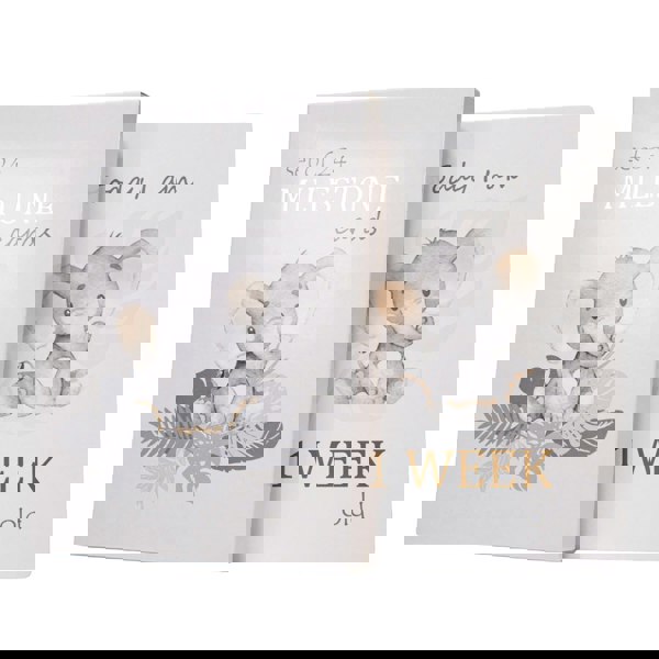 Cute Unisex Baby Elephant Grey Quirky and Fun Set of 24 Milestone Cards Image 1