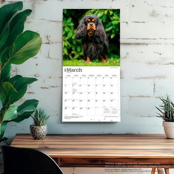 Cavalier King Charles Spaniels Calendar 2027, Wall Calendars, Month To View, Dogs, Gift