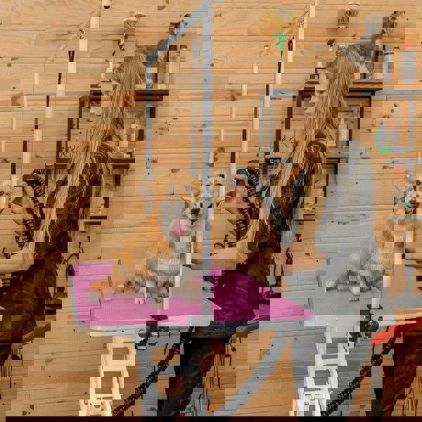 Monstershop White Hydraulic Grooming Table - Pink Table Top