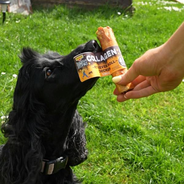 Favour Collagen Chicken 5" Retriever Rolls 55g