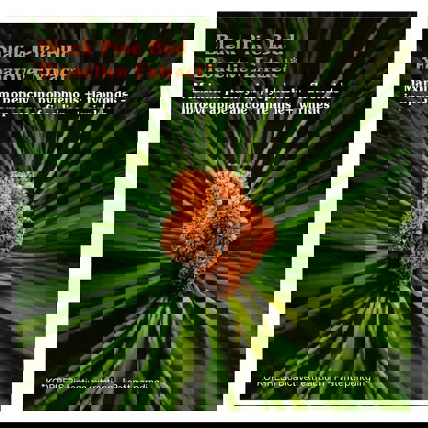 Korres Black Pine Primus Cream 40 ml