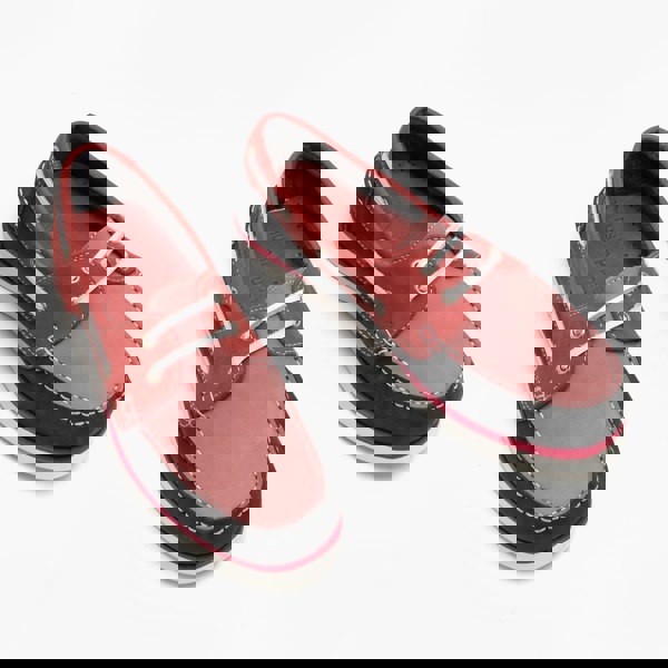 1581956355-13074800.jpg