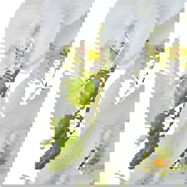 Hill Interiors Ceramic Orchid Flower Pot - White - 