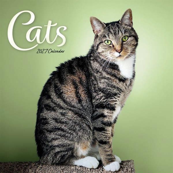 Cats Calendar 2027, Wall Calendars, Month To View, Cats, Gift