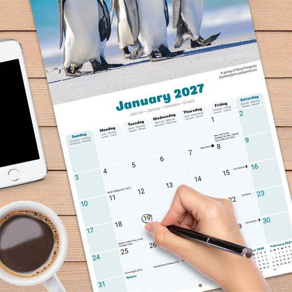 Penguins Calendar 2027, Wall Calendars, Month To View, Animals, Gift