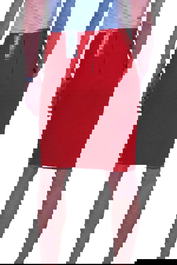 Paulo Due Women's Stretch Above Knee Pencil Skirt