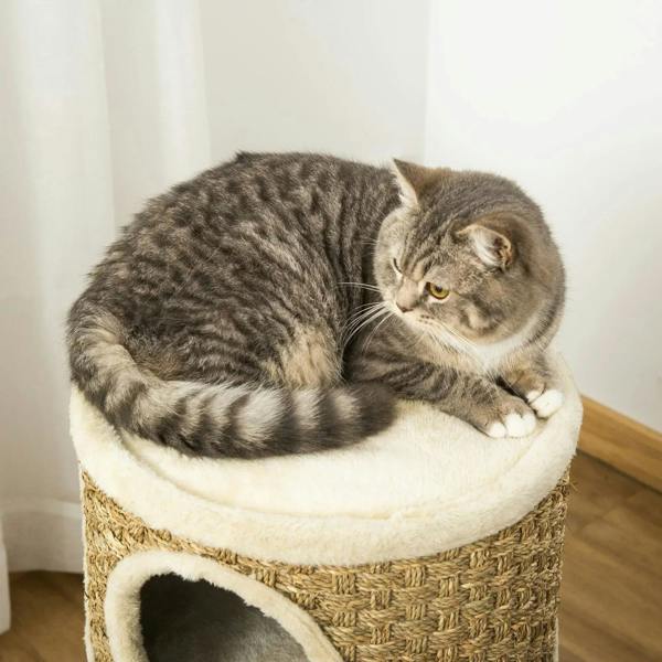 Cat lounging on the plush top of a khaki cat scratching barrel tower