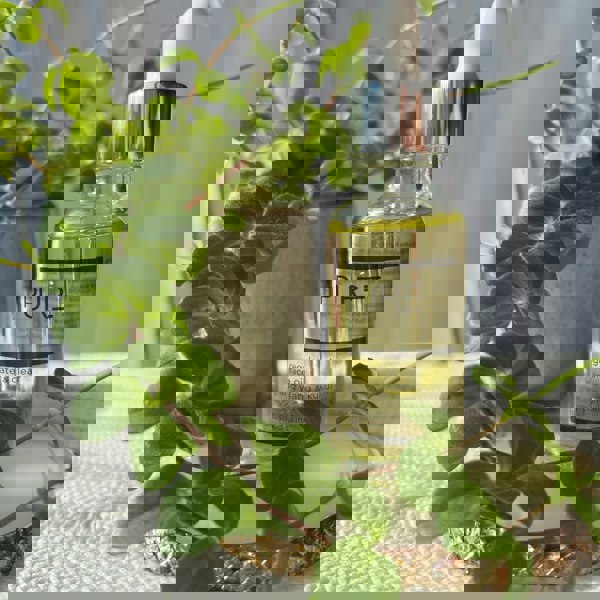 PURE Regulate & Clear Face Oil (30ml) | PURE Spa Skincare