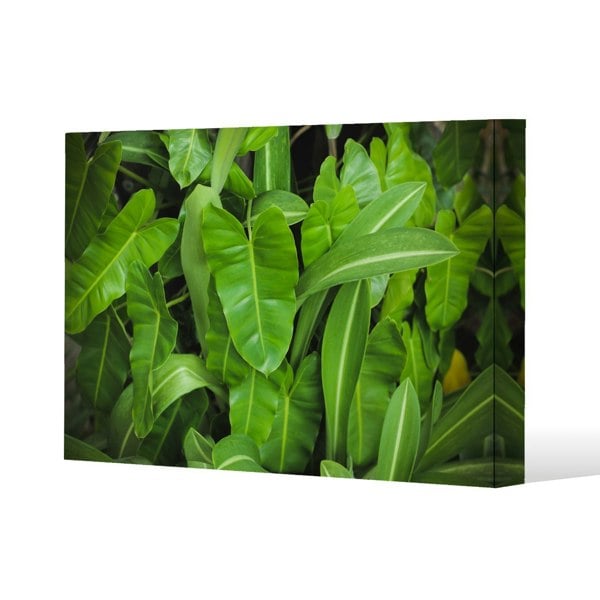Benjamin Tate Design Abstract background of dark green leaves Slim Style Canvas Print  90x120cm , 15mm Slim Real wood.
