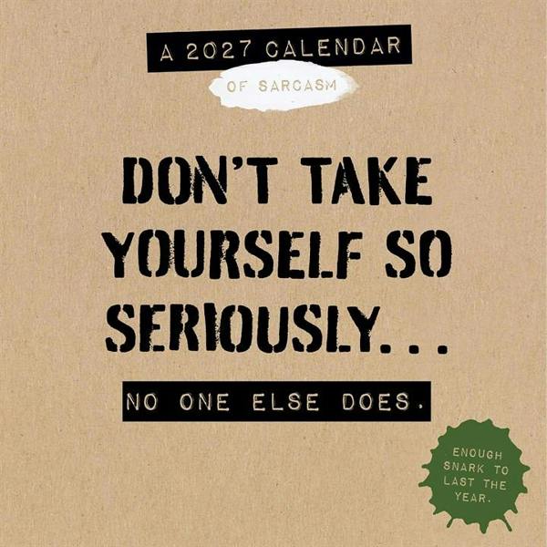 Daily Sarcasm, Don't Take Yourself So Seriously Desk Calendar 2027, Desk Calendars, Day To View, Humour, Gift