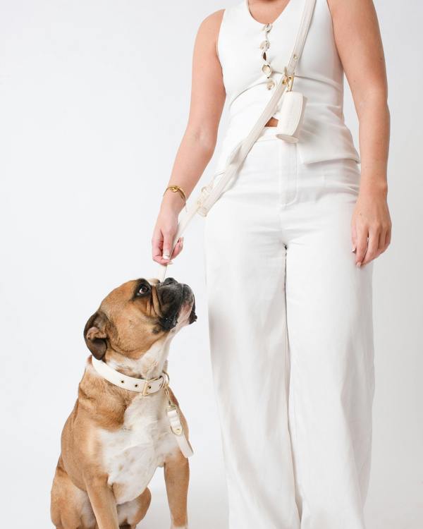 Barc London Light Ivory Double Ended Lead