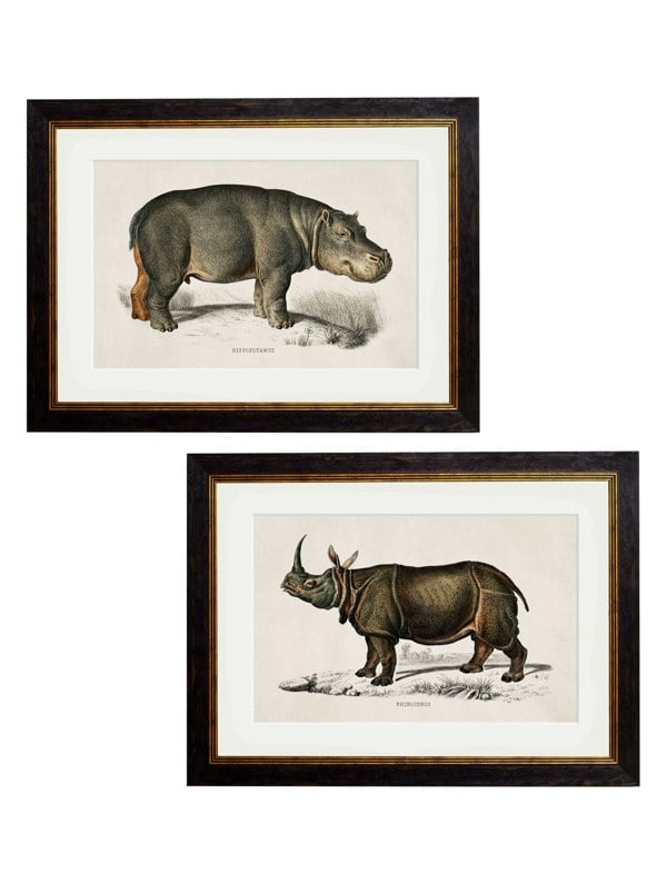 Exceptional Art c.1846 Rhino & Hippo