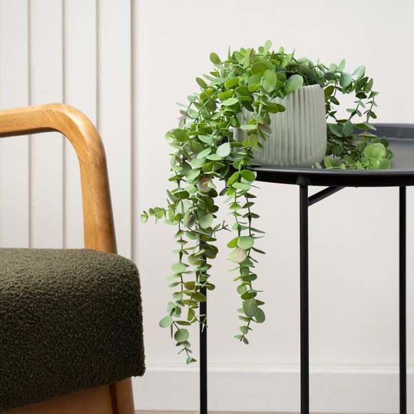 Scottish Everlastings Artificial Trailing Eucalyptus