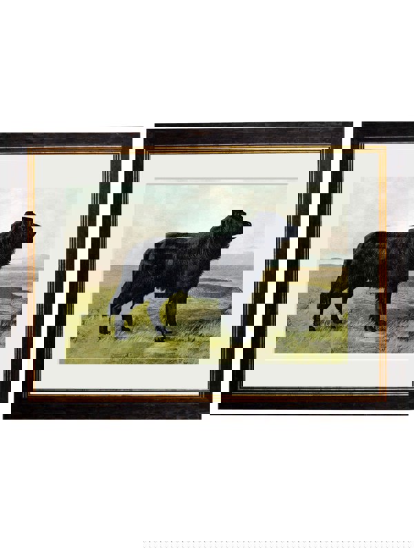 Exceptional Art c.1881 Working Dogs