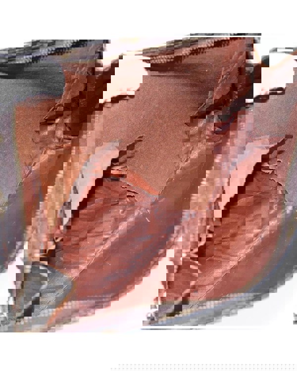 193967559.jpg