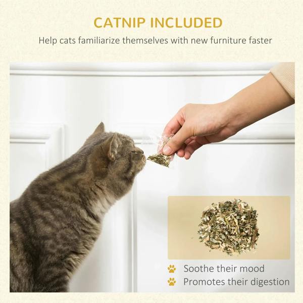 Cat sniffing catnip on a cardboard scratching lounger while a hand sprinkles contents