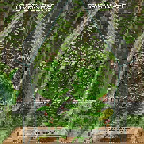 Greenhouse