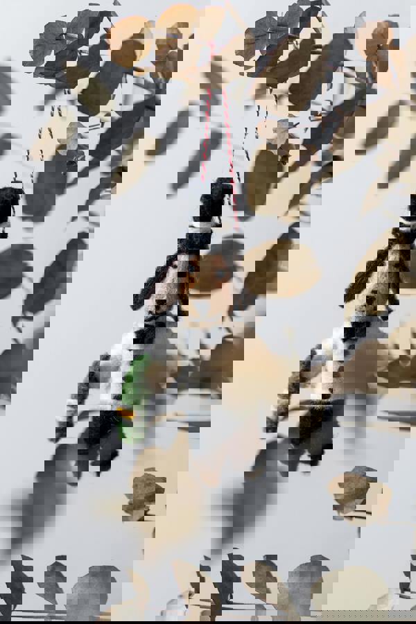 Lily & Me Party Gent Tree Decoration