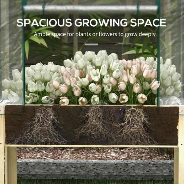 Raised planter box with clear greenhouse cover showing tulip-like flowers inside