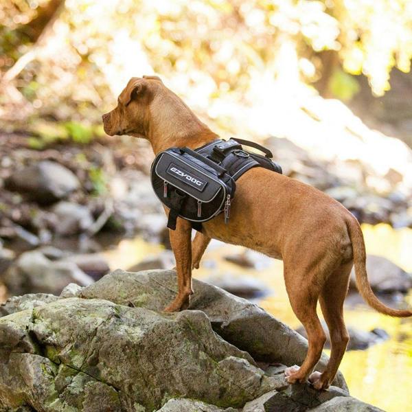 EzyDog Convert Saddle Bags for Express Harness