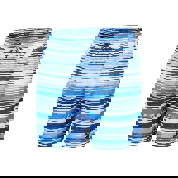 Blue and white Speedo printed leisure swim shorts with stripes