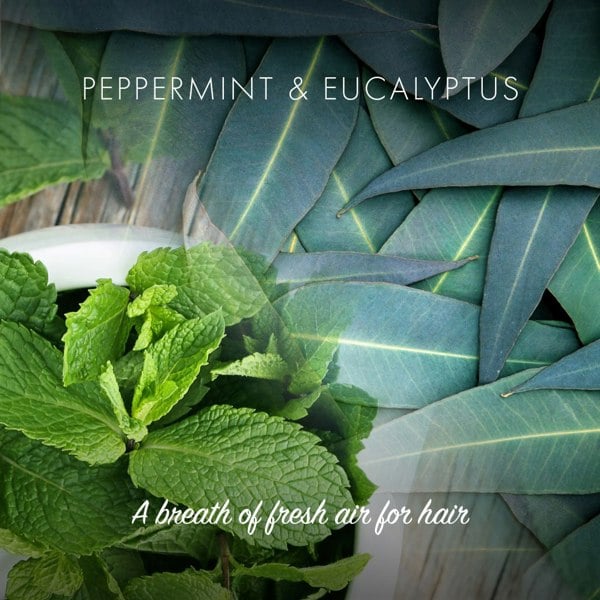 Friendly Soap - Conditioner Bar - Peppermint & Eucalyptus - 90g