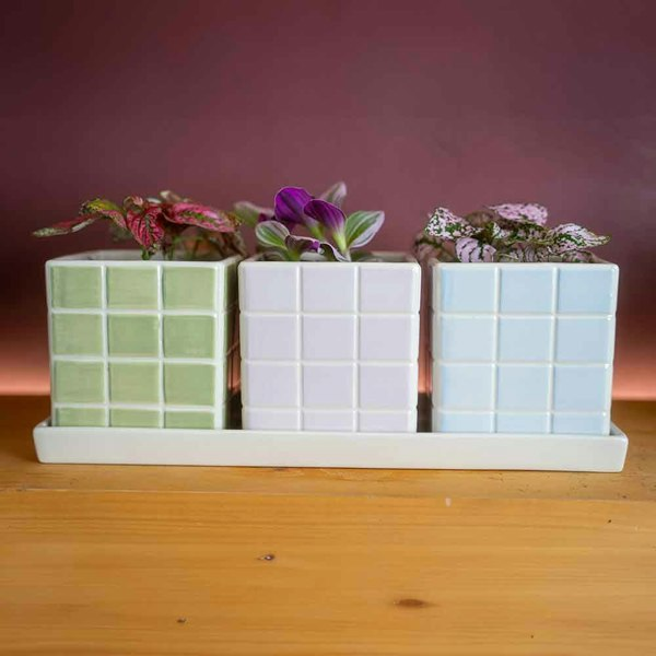 Upper Street Set of Three Cool Pastel Tile Design Ceramic Planters with Tray