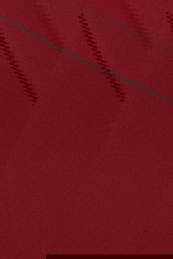 Bardot Pleated Maxi Dress - Burgundy DR1092