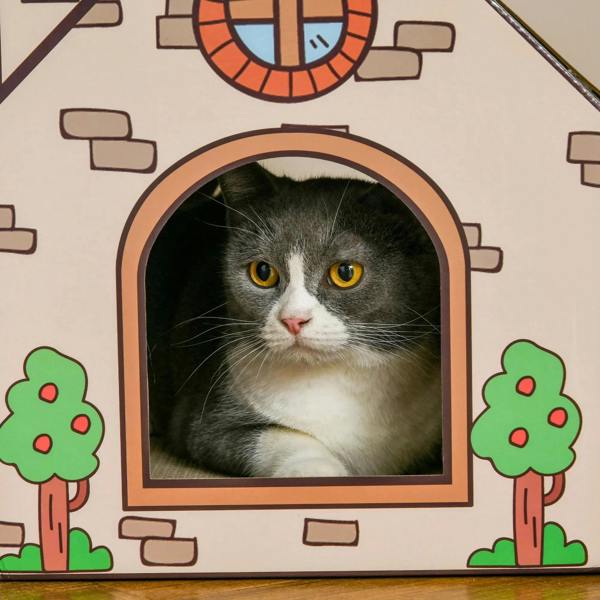 Gray cat peering from arched window of cat house with green tree graphics