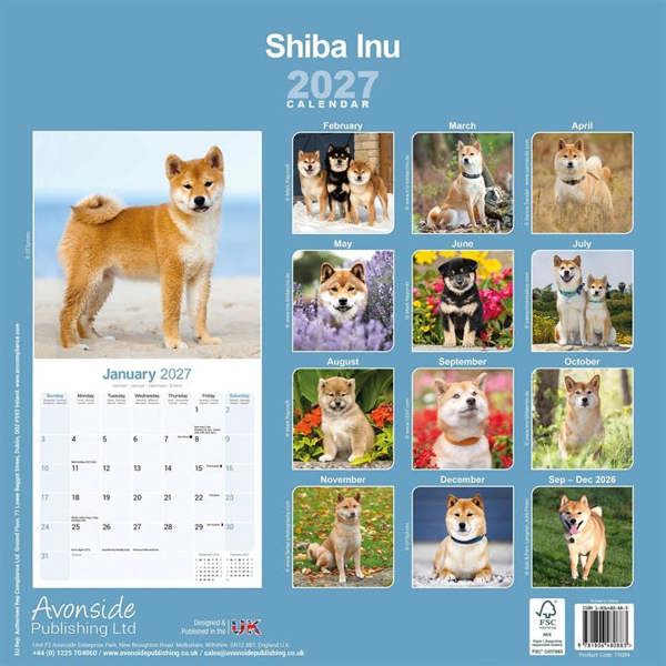 Shiba Inu Calendar 2027, Wall Calendars, Month To View, Dogs, Gift