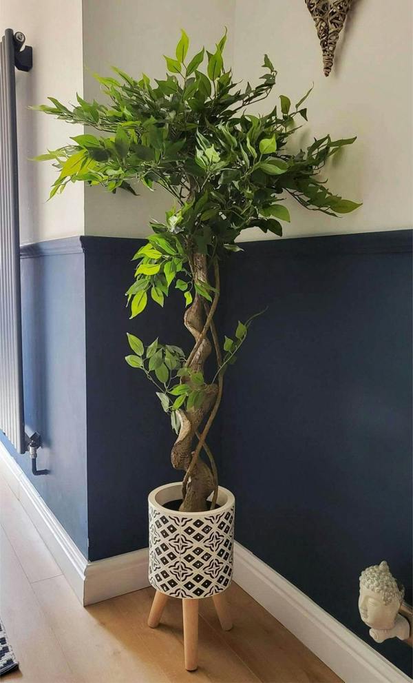 Artificial Japanese Fruticosa Tree Twisted Ficus 120cm - Evergreenery