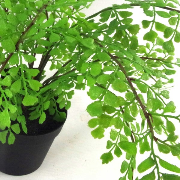 Leaf 35cm Artificial Potted Fern Plant (Southern Maidenhair Fern)