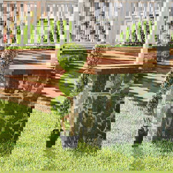 Artificial Pruned Plants