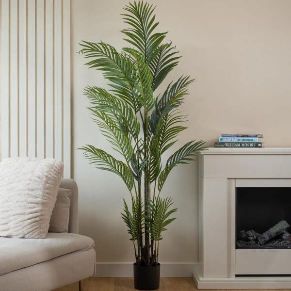 Scottish Everlastings 180cm Real Touch Pearl Palm Tree