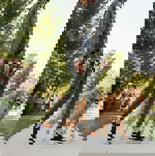 Skechers GLIDE-STEP - TRANQUILITY Womens Trainers Black/White