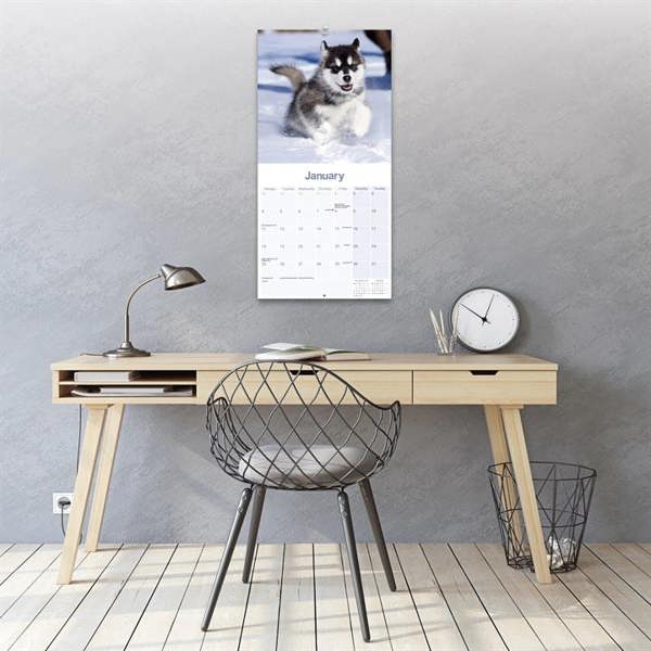 Alaskan Malamute Calendar 2027, Wall Calendars, Month To View, Dogs, Gift