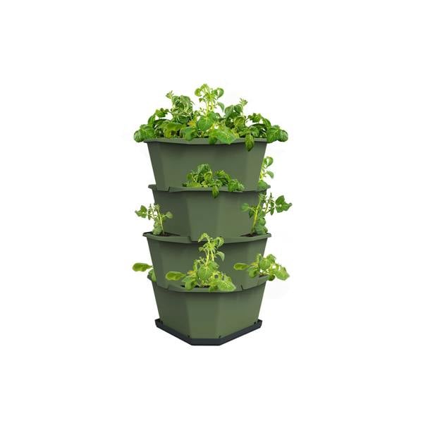 PAUL POTATO potato growing tower - Dark Green