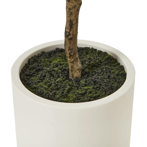 Wyld Haus 180cm Tall Mediterranean  Artificial Olive Tree In White Ceramic Pot