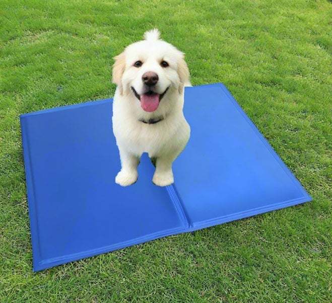 Generise Pet Cooling Gel Mat - 40cm x 30cm- Blue