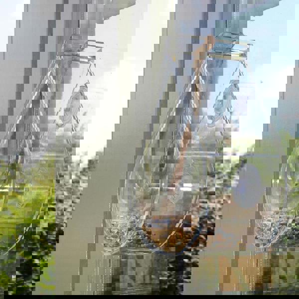 smartbies Dewdrop Window Bird Feeder