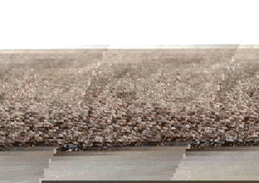 Origins Chicago Latte